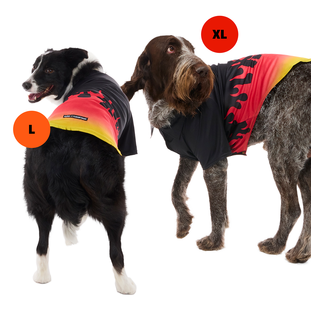 Flavortown™ Wearable Bundle