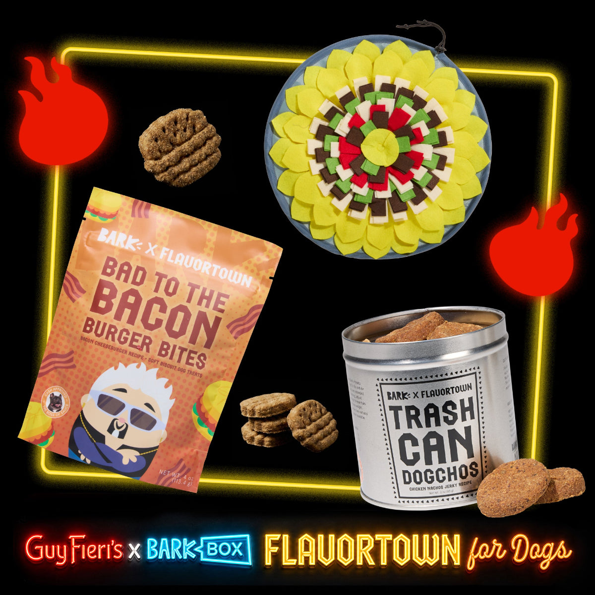 Flavortown™ Trash Can Bundle – BARK