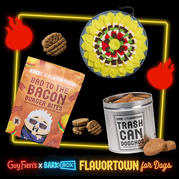 Flavortown™ Trash Can Bundle – BARK