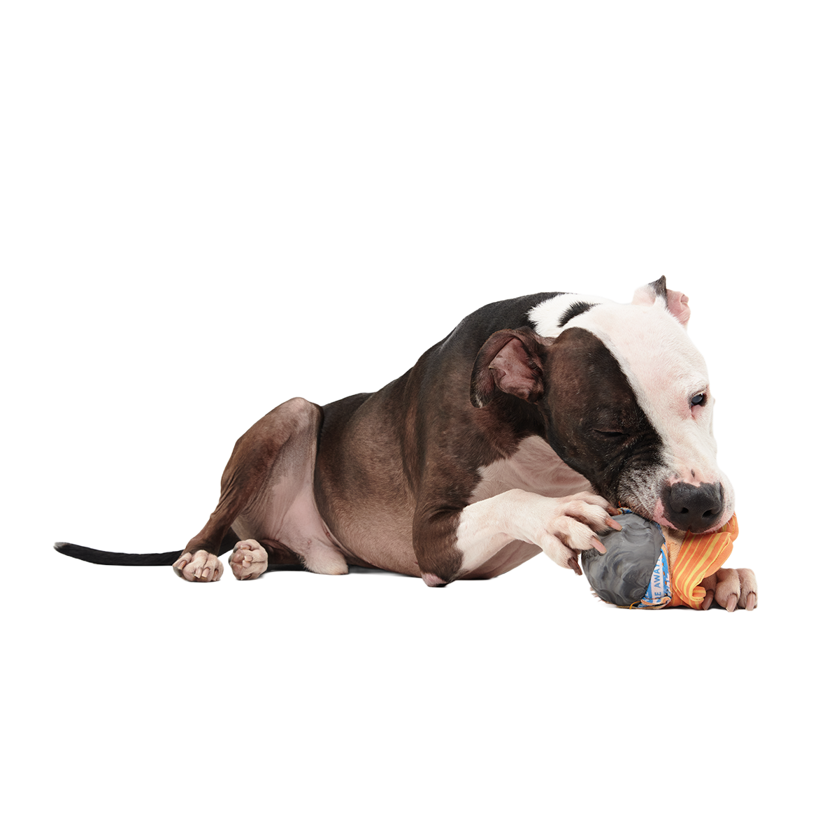 Flings Around Saturn Super Chewer Durable 2-in-1 + Fetch Dog Toy