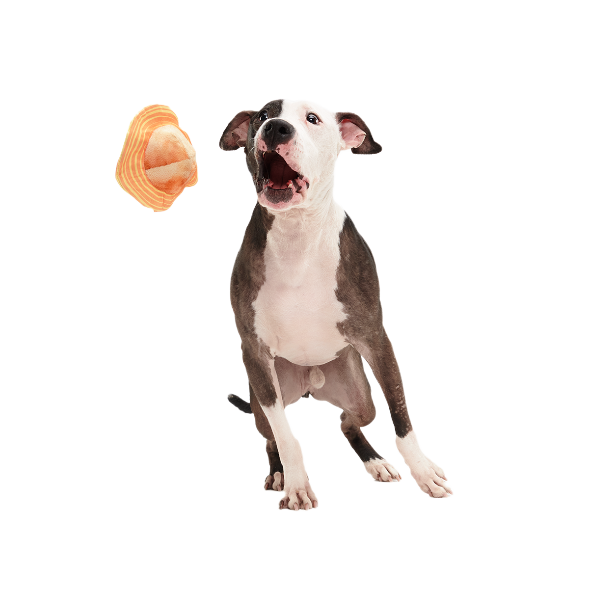 Flings Around Saturn Super Chewer Durable 2-in-1 + Fetch Dog Toy