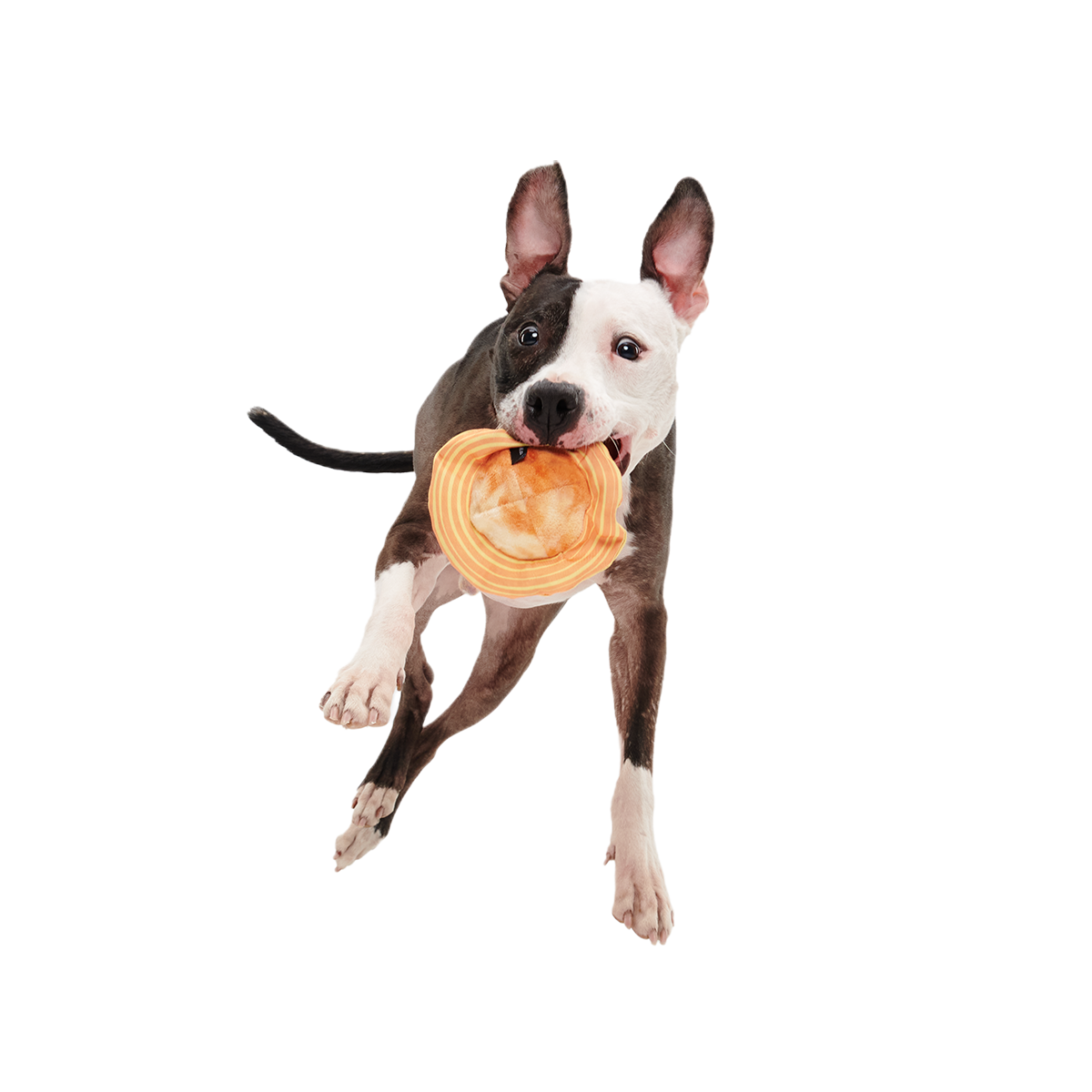 Flings Around Saturn Super Chewer Durable 2-in-1 + Fetch Dog Toy