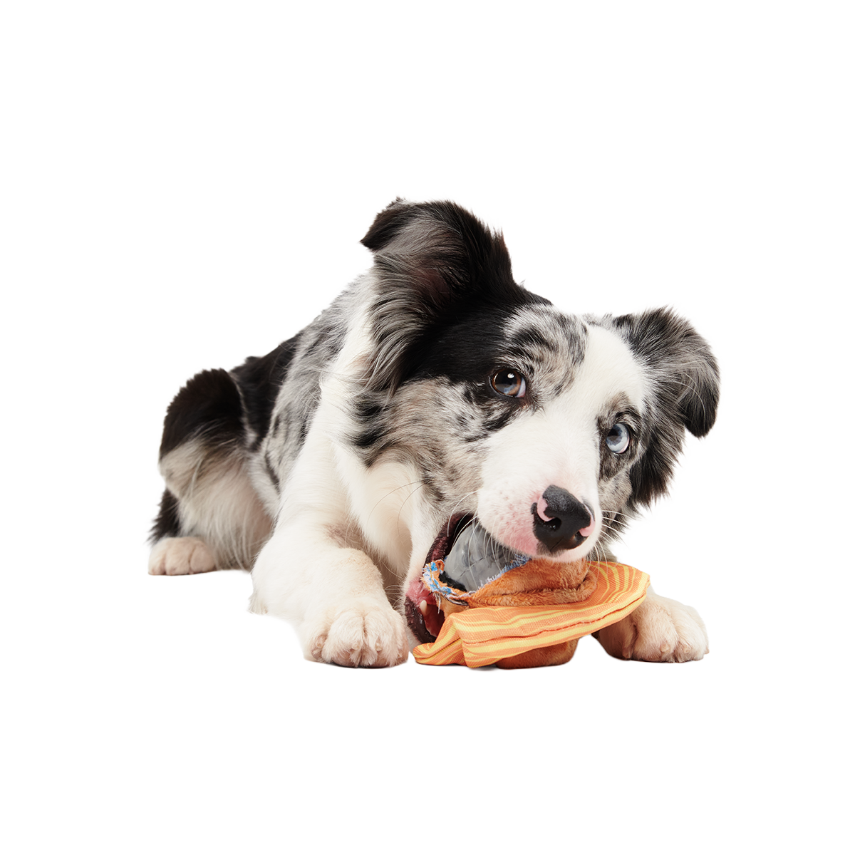 Flings Around Saturn Super Chewer Durable 2-in-1 + Fetch Dog Toy