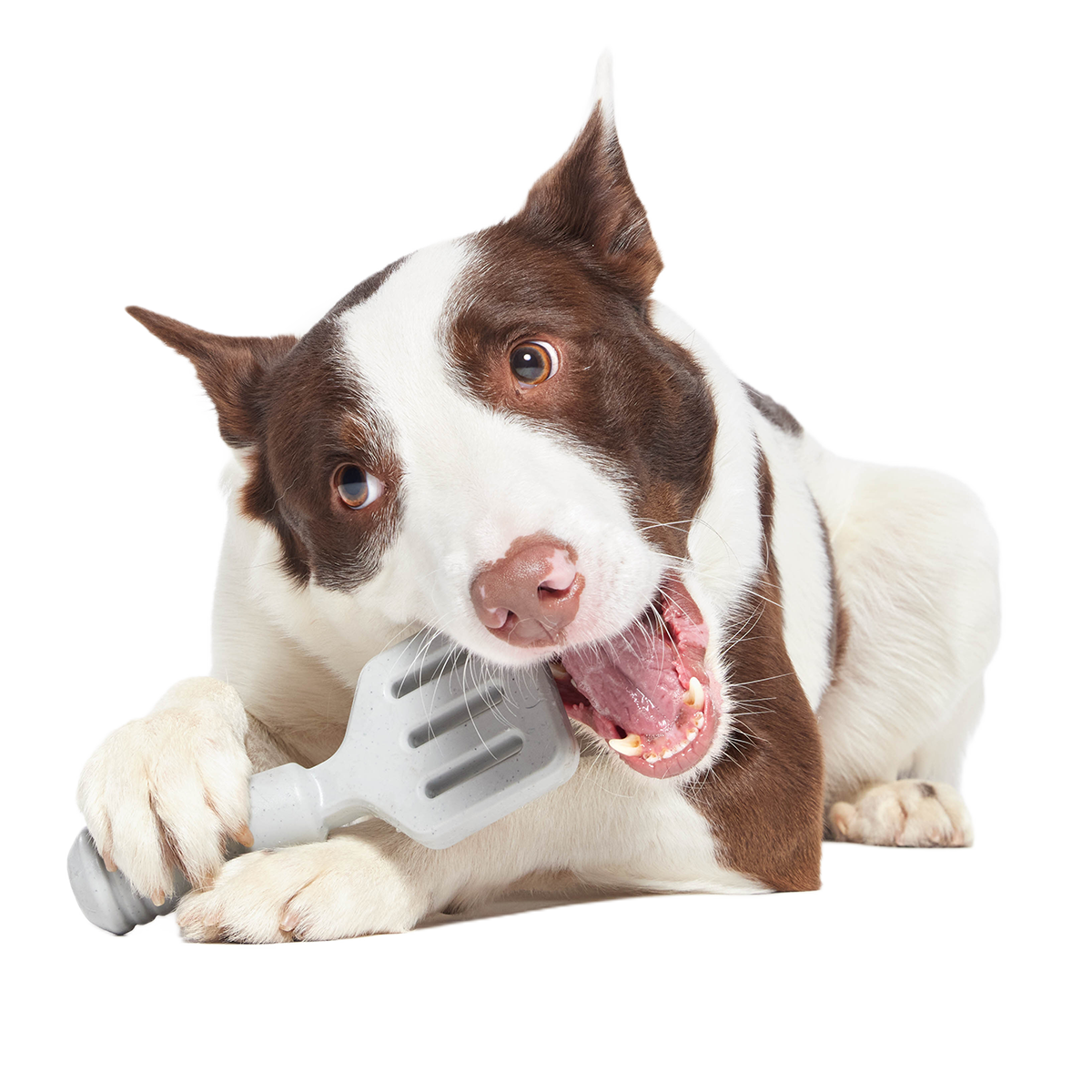 Flip It Good Spatula Super Chewer Durable Gnaw Dog Toy