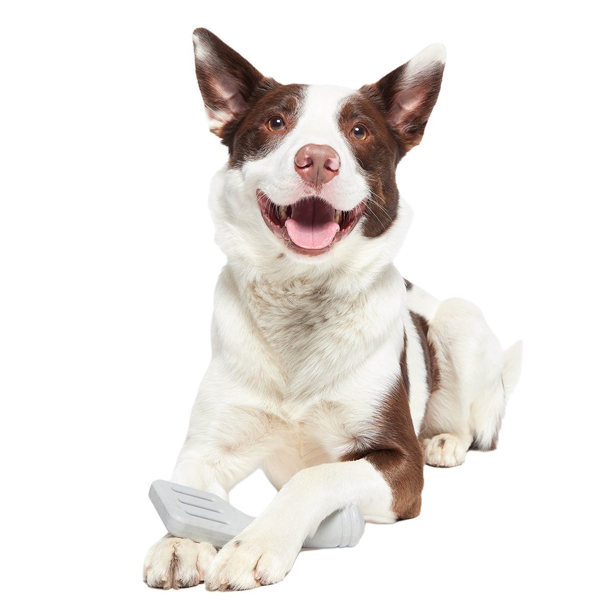 Flip It Good Spatula Super Chewer Durable Gnaw Dog Toy