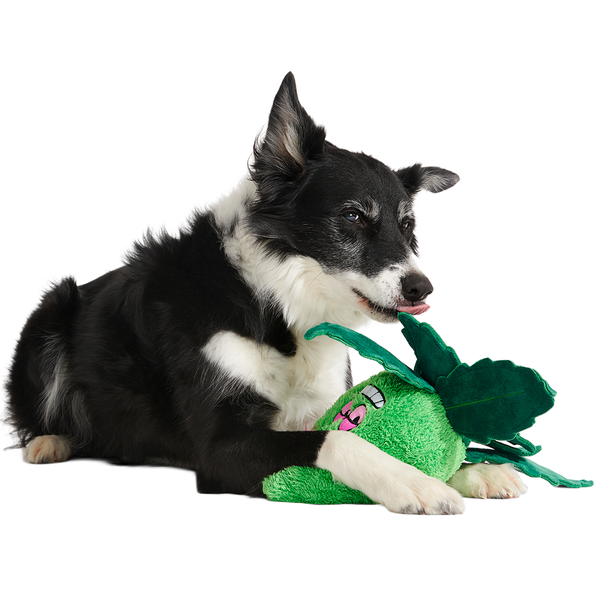 Foggy Green Giant Plush Tug Dog Toy