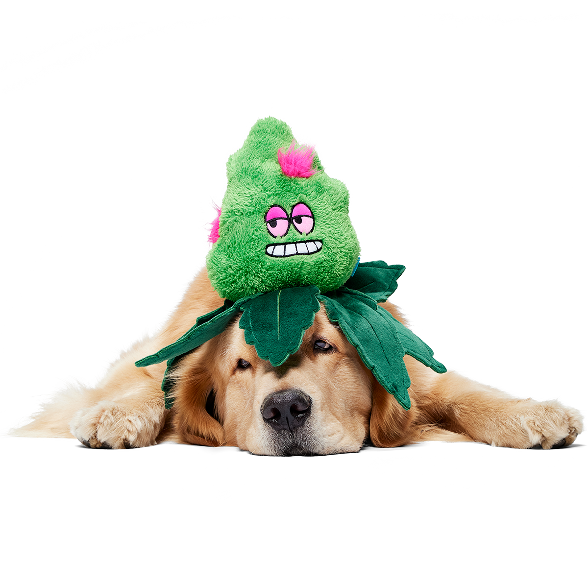 Foggy Green Giant Plush Tug Dog Toy