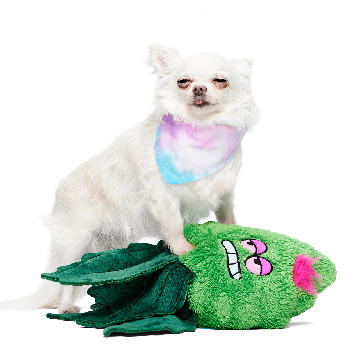 Foggy Green Giant Plush Tug Dog Toy