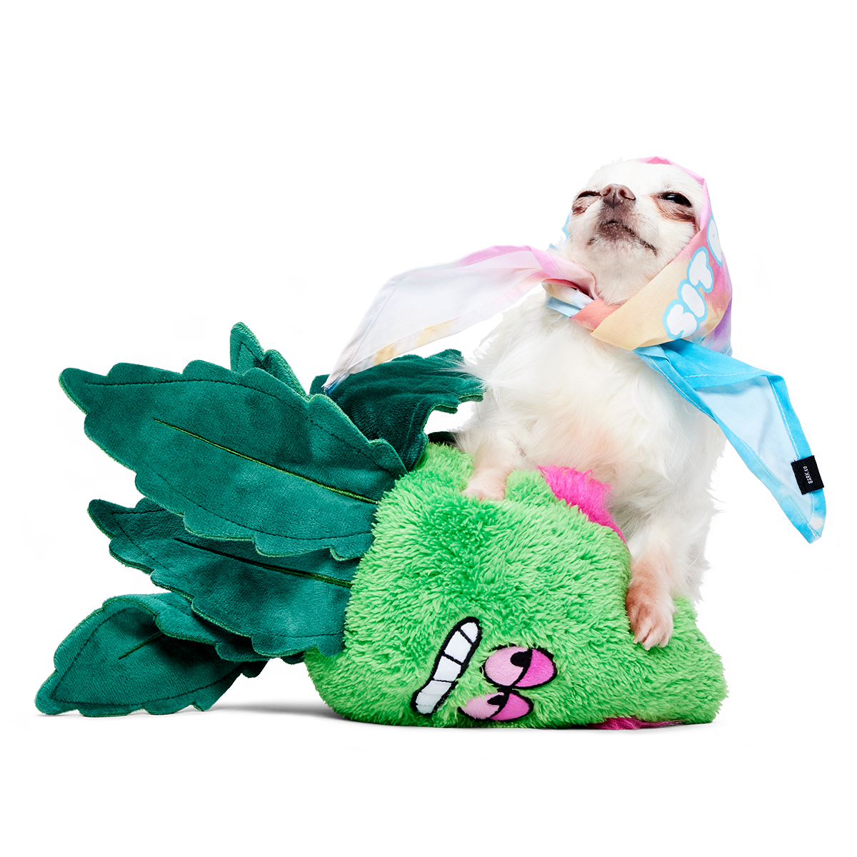 Foggy Green Giant Plush Tug Dog Toy