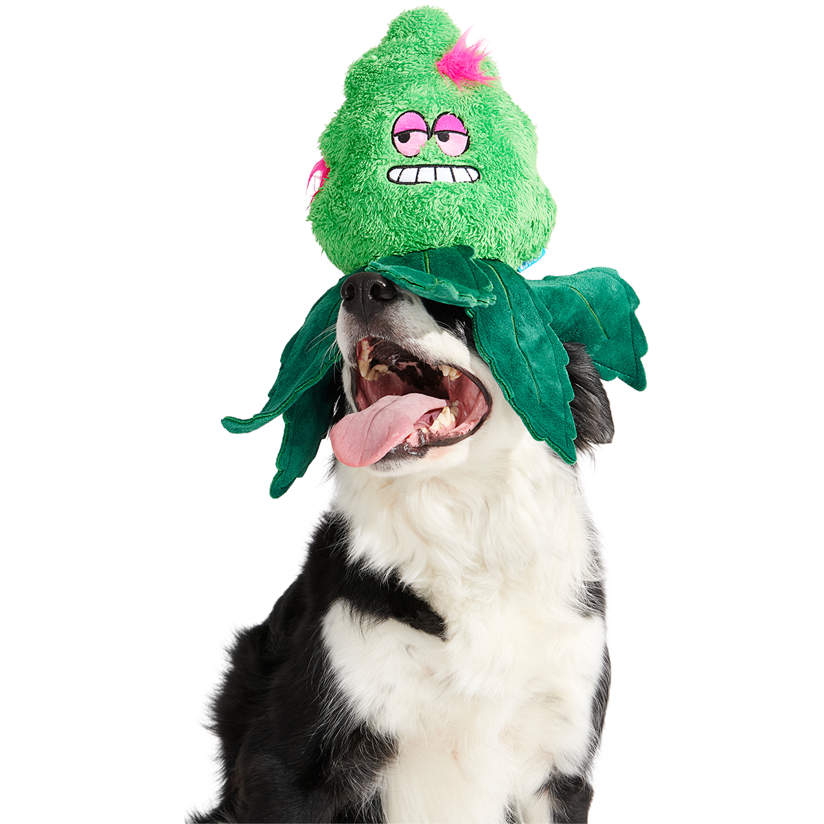 Foggy Green Giant Plush Tug Dog Toy