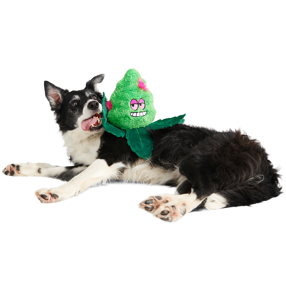 Foggy Green Giant Plush Tug Dog Toy