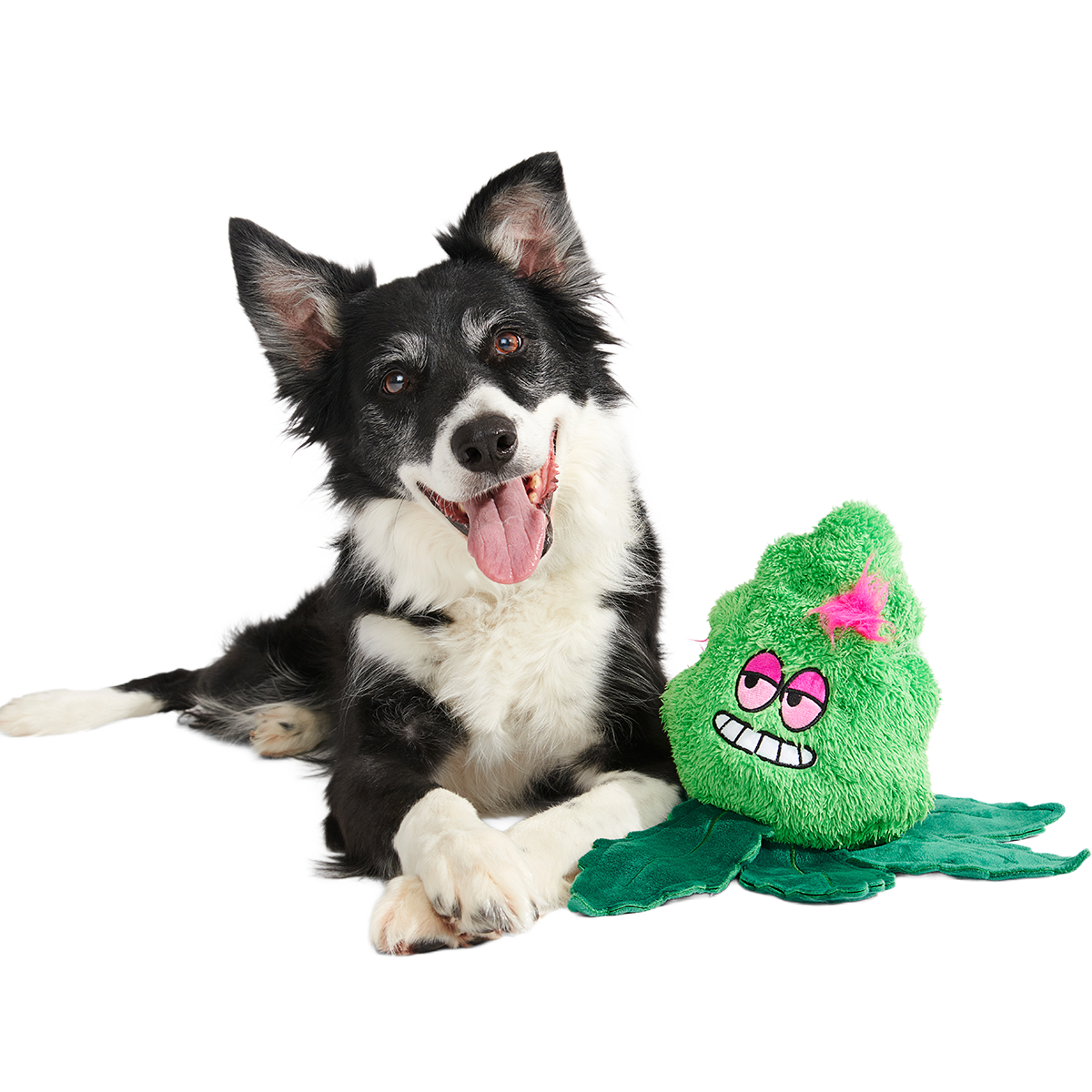 Foggy Green Giant Plush Tug Dog Toy