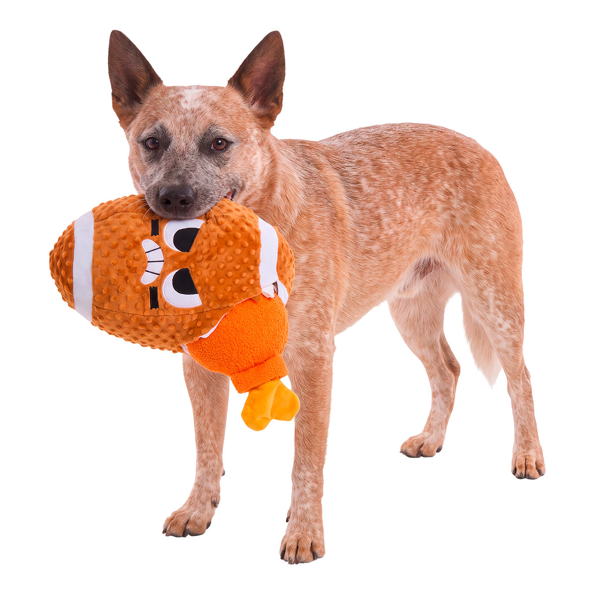 Foodball Plush Extra-Large + 2-in-1 Dog Toy
