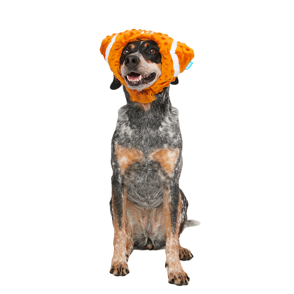 Football Head Plush Wearable Dog Toy