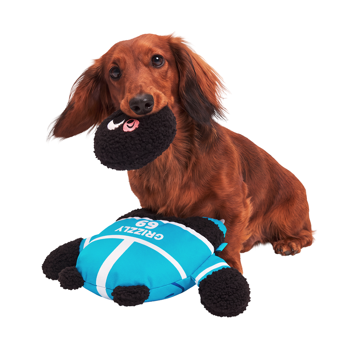 Footmaulers Plush Multi-Part + Enrichment Dog Toy