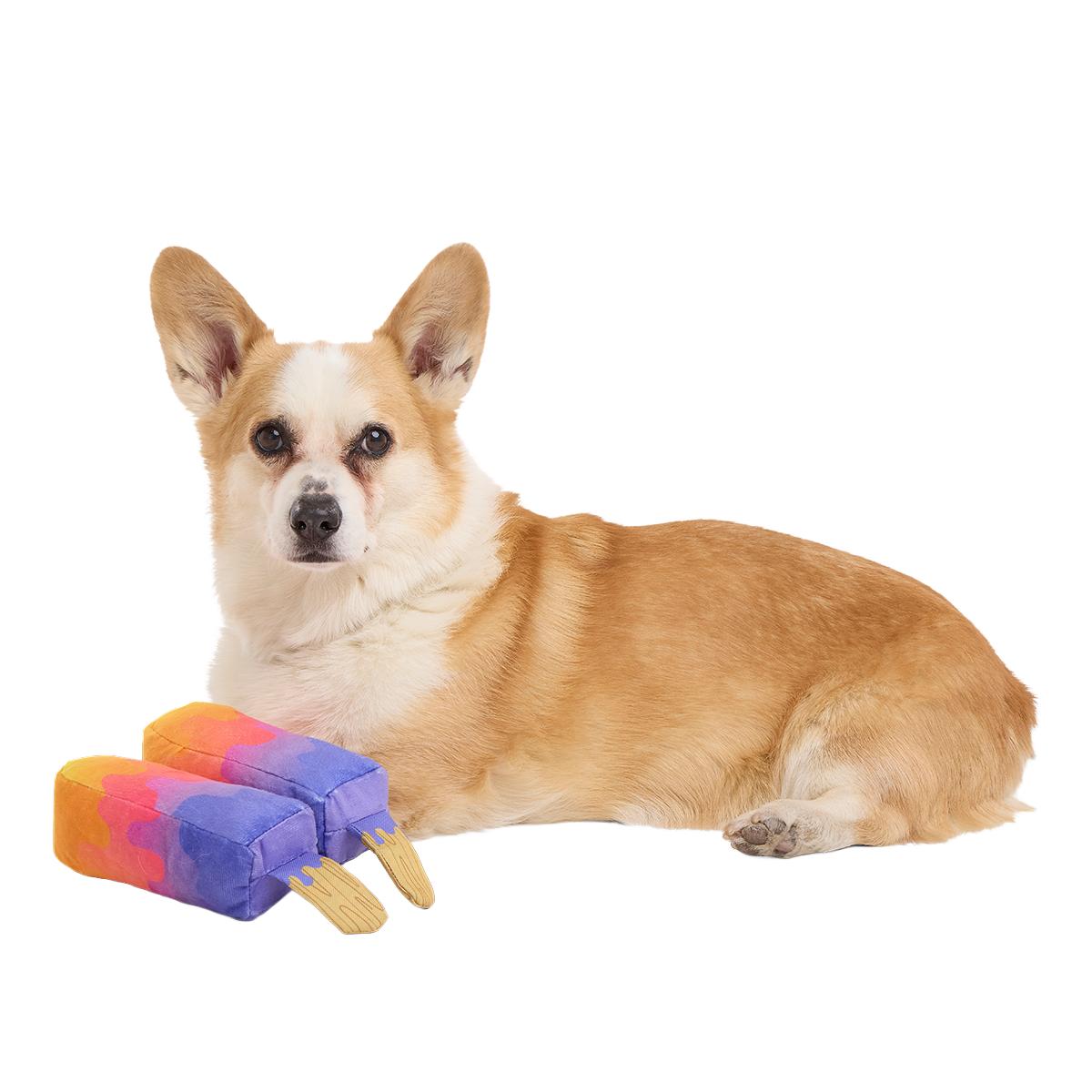 Friends 4Eva Ice Pops Plush Multi-Part + Tug Dog Toy