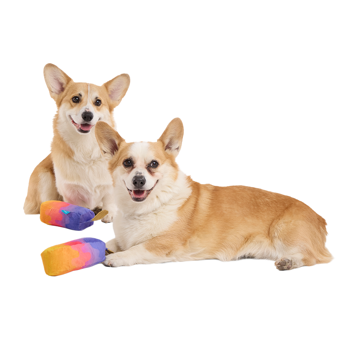 Friends 4Eva Ice Pops Plush Multi-Part + Tug Dog Toy