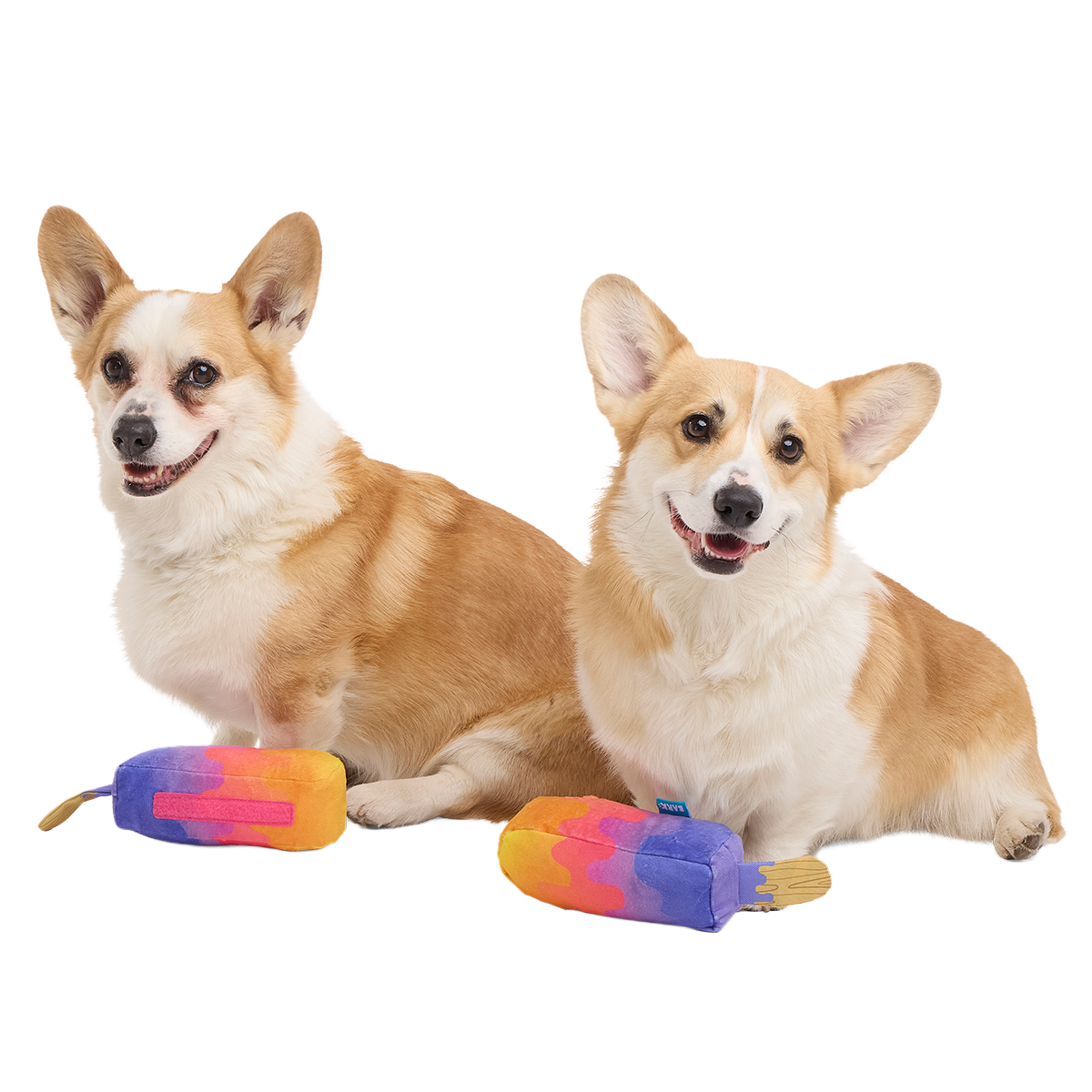 Friends 4Eva Ice Pops Plush Multi-Part + Tug Dog Toy
