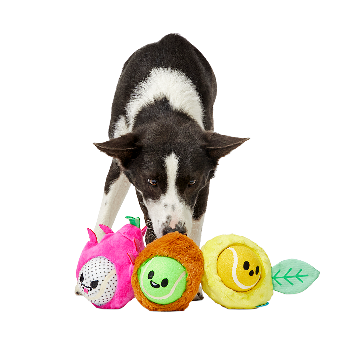 Fruity Cutie Tropical Trio Plush Multi-Part + Fetch Dog Toy