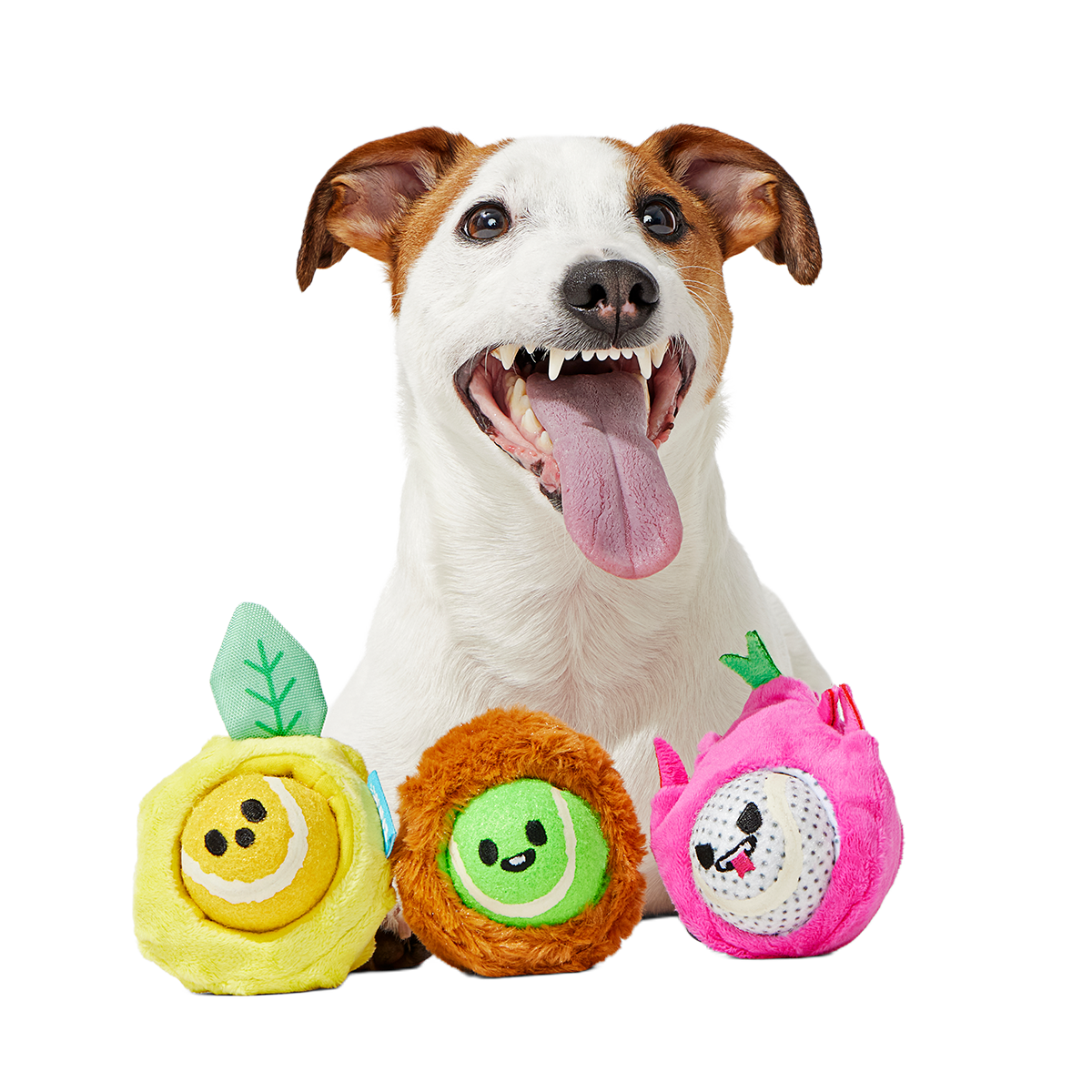 Fruity Cutie Tropical Trio Plush Multi-Part + Fetch Dog Toy