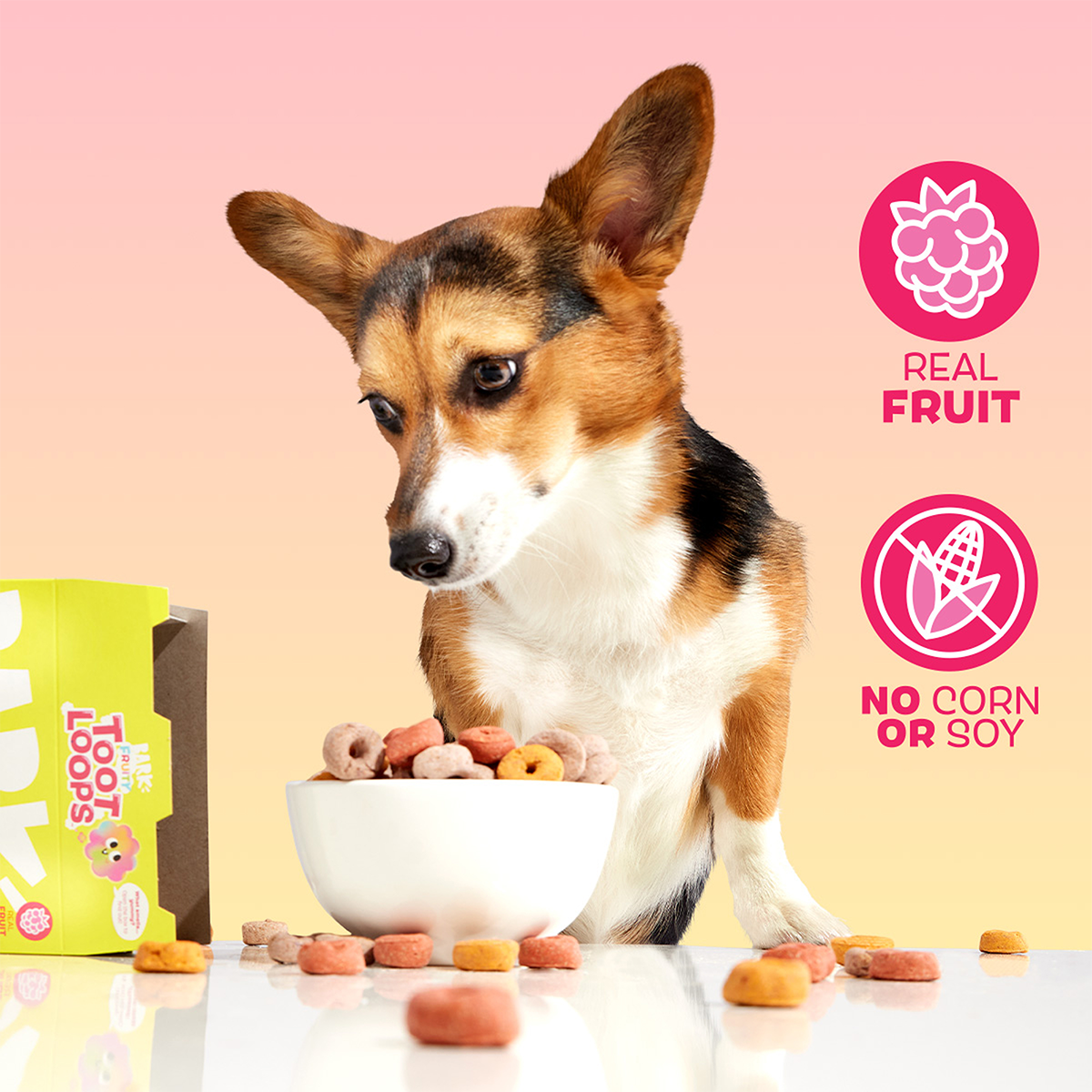 Fruity Toot Loops™ Mixed Berry Crunchy Dog Treats, 24 oz