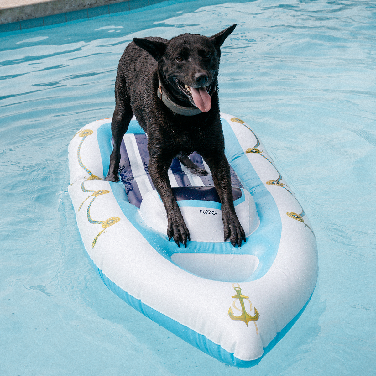 FUNBOY Yacht Dog Float
