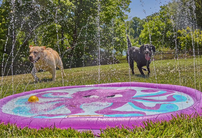 Two dogs playing in a Funboy Ollie the Octopus splash pad on a grassy area with trees in the background.