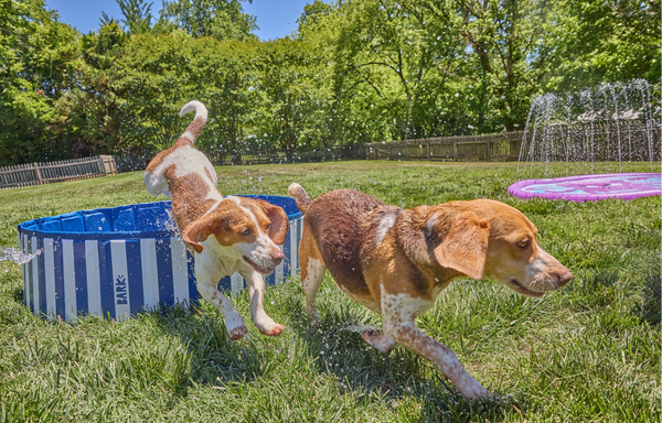 Soak Up the Fun!