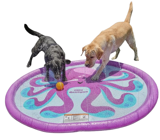 FUNBOY Water Toy