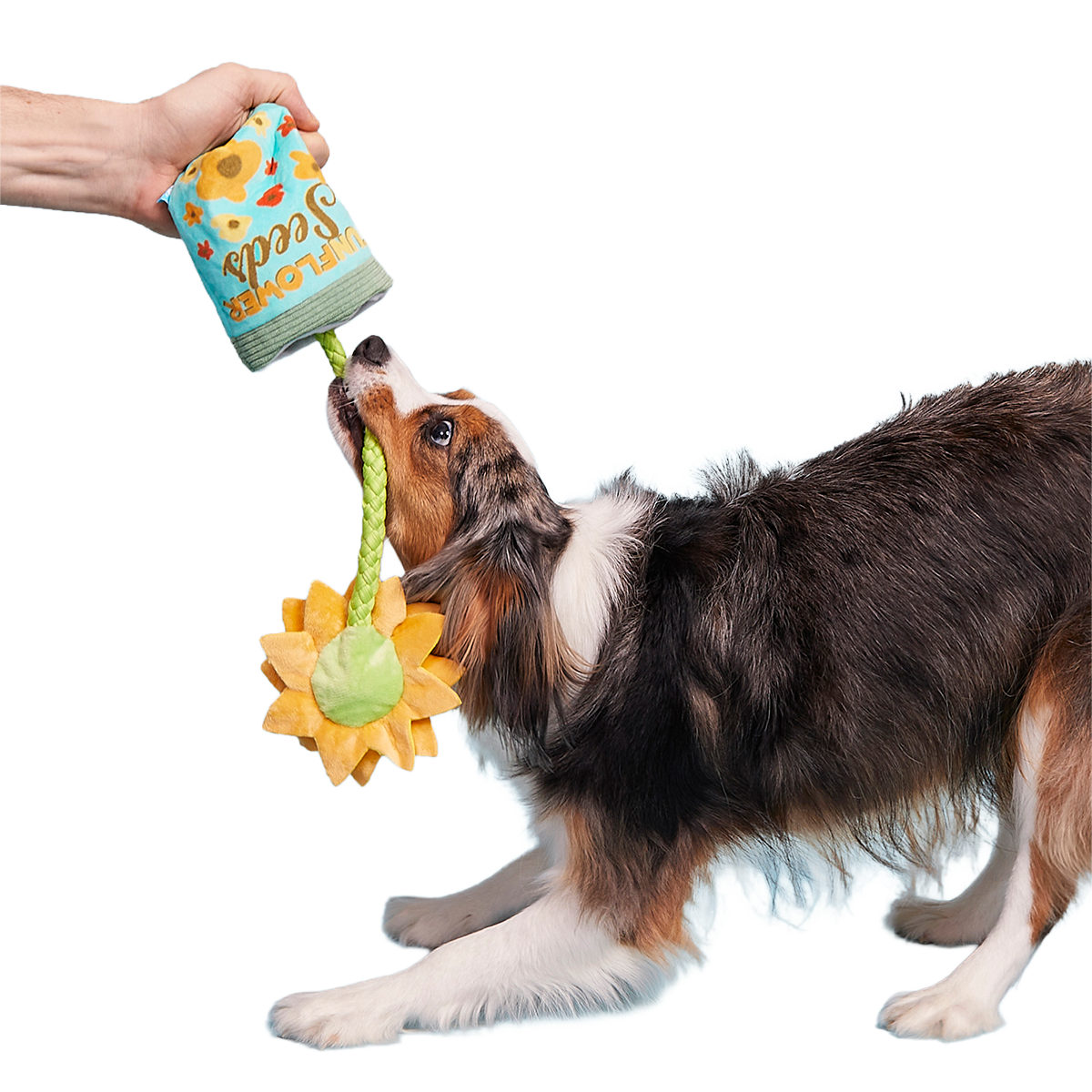 Funflower Seeds Plush Tug Dog Toy