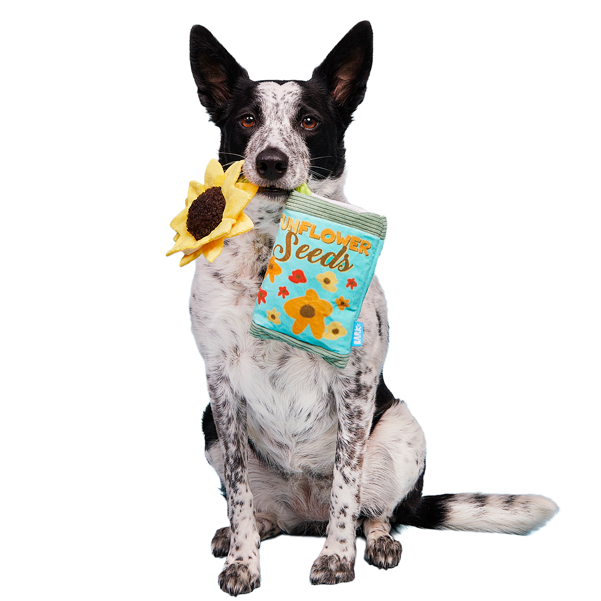 Funflower Seeds Plush Tug Dog Toy