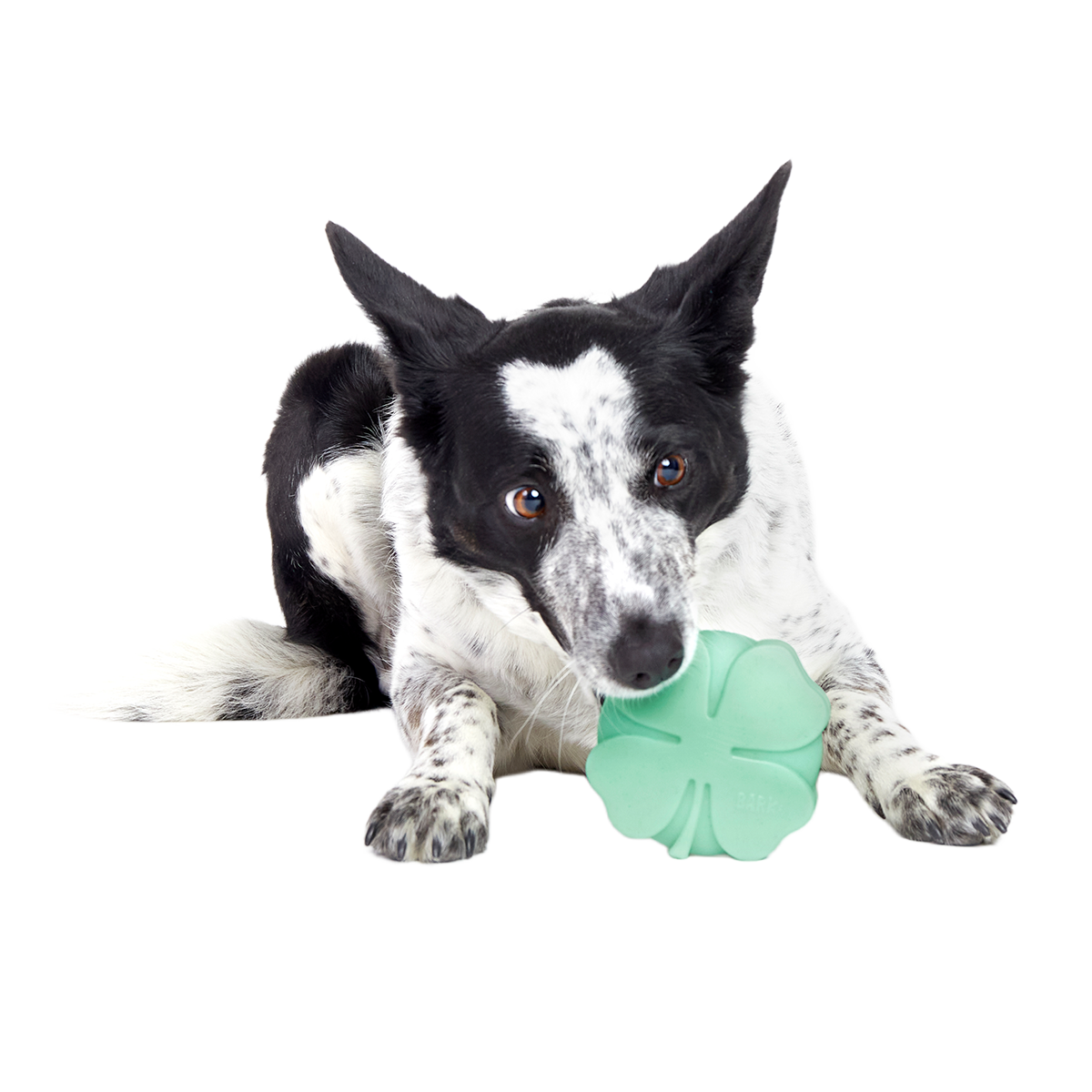 Fur Leaf Clover Super Chewer Durable Gnaw Dog Toy