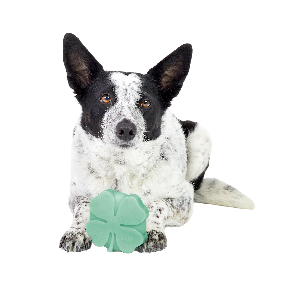 Fur Leaf Clover Super Chewer Durable Gnaw Dog Toy