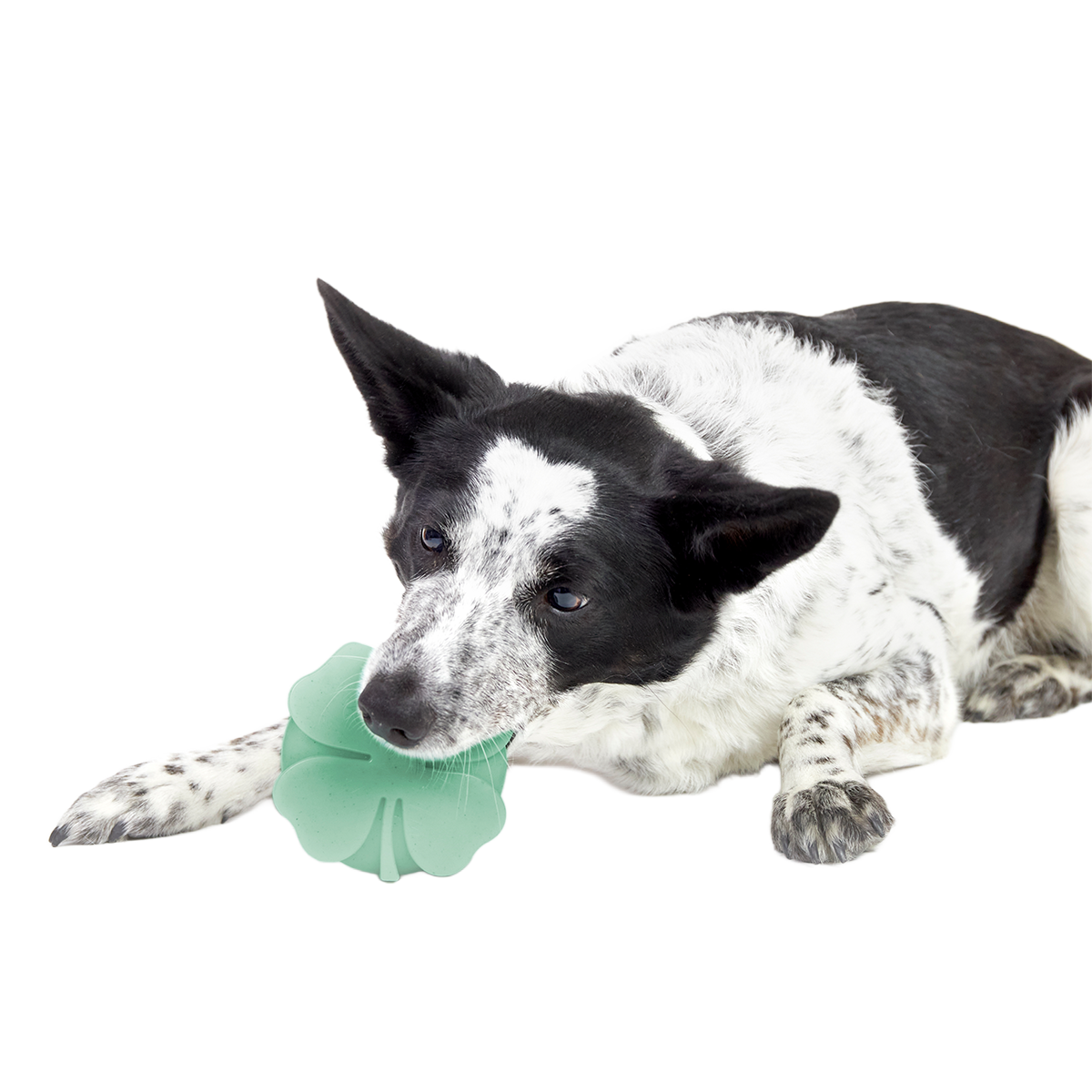 Fur Leaf Clover Super Chewer Durable Gnaw Dog Toy