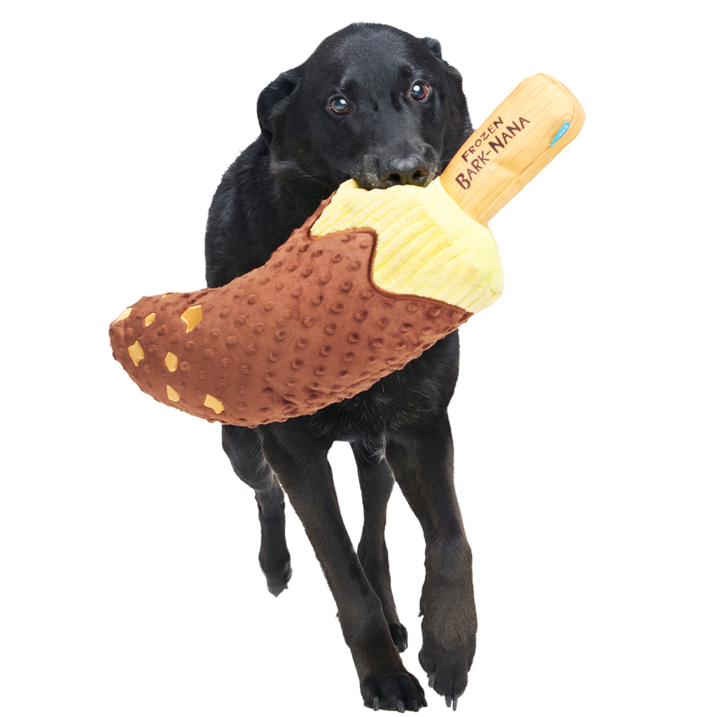 洋楽 4 DOG Furozen Bignana Plush Extra-Large Dog Toy – BARK