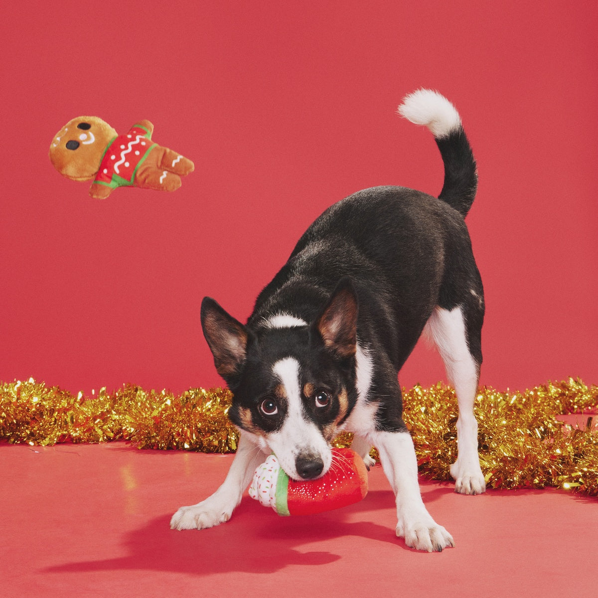 Ginger Brew Crew Plush Multi-Part Dog Toy – BARK