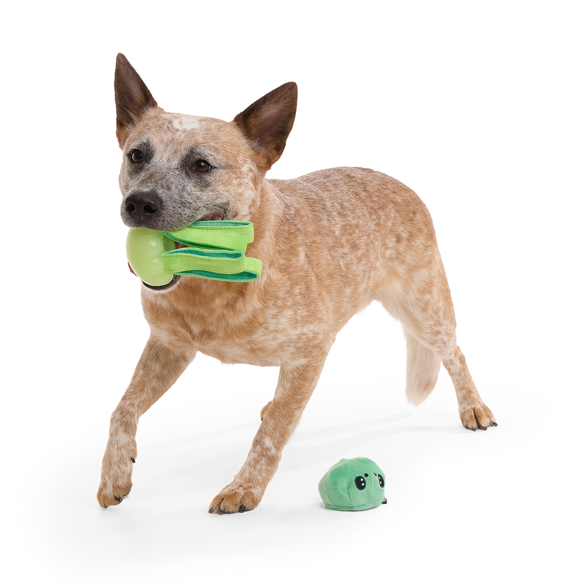 Galactopus Super Chewer Durable 2-in-1 + Tug Dog Toy