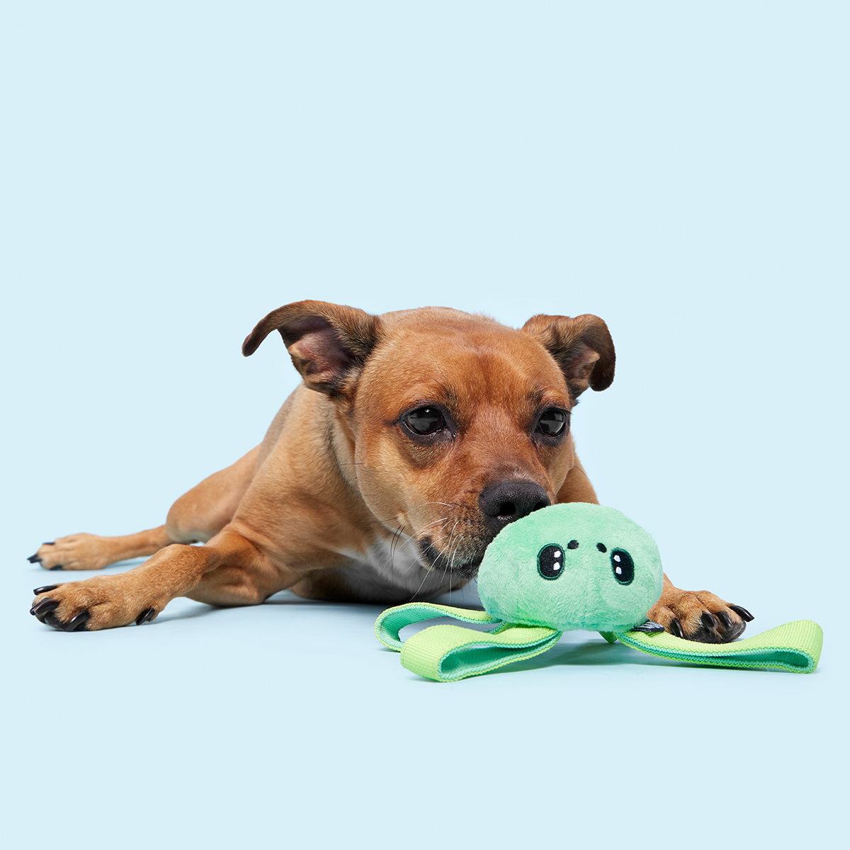 Galactopus Super Chewer Durable 2-in-1 + Tug Dog Toy