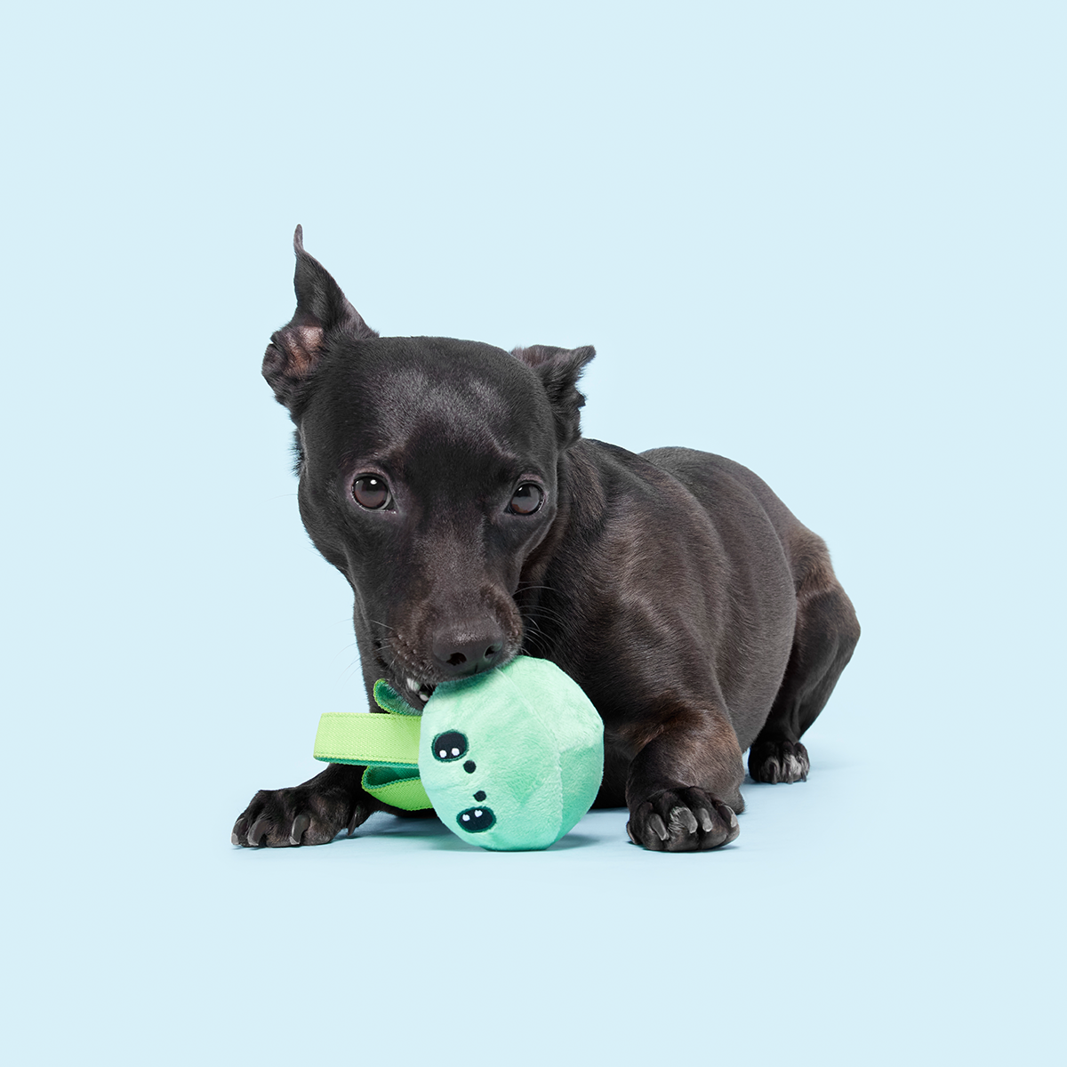 Galactopus Super Chewer Durable 2-in-1 + Tug Dog Toy