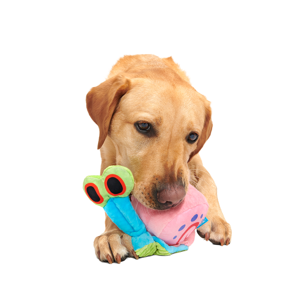 Gary the Snail Plush Tug Dog Toy