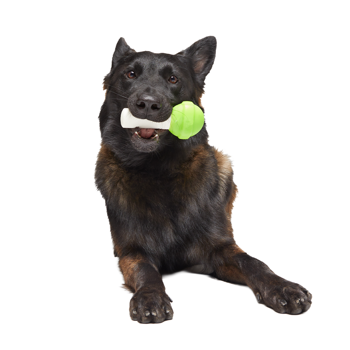 Ghoulie Pop Super Chewer Durable Gnaw Dog Toy