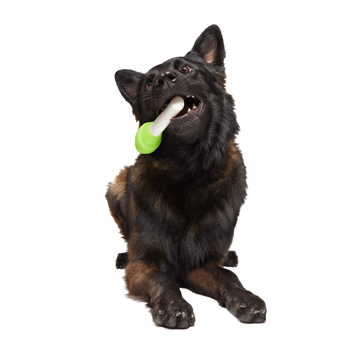 Ghoulie Pop Super Chewer Durable Gnaw Dog Toy