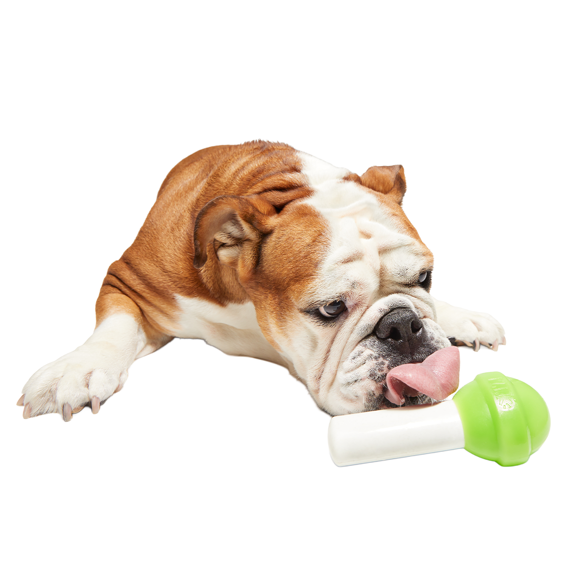 Ghoulie Pop Super Chewer Durable Gnaw Dog Toy