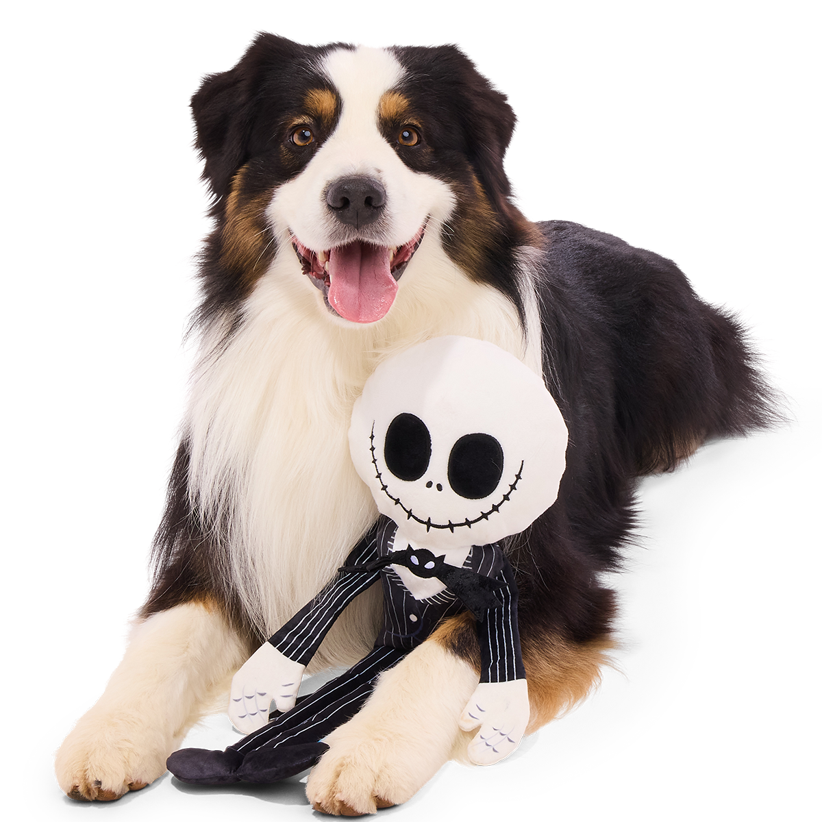 Giant Jack Skellington Plush Extra-Large + Tug Dog Toy