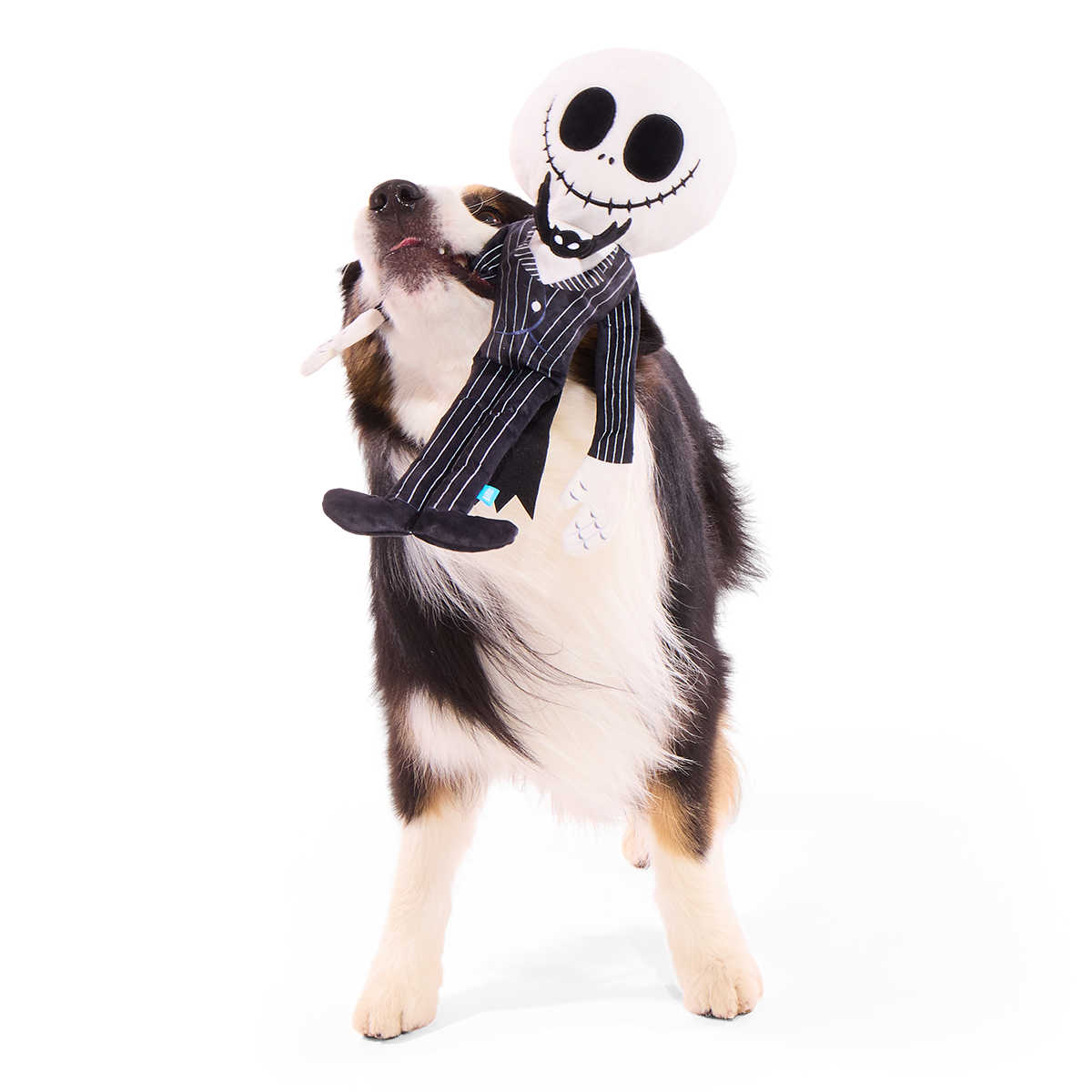 Giant Jack Skellington Plush Extra-Large + Tug Dog Toy