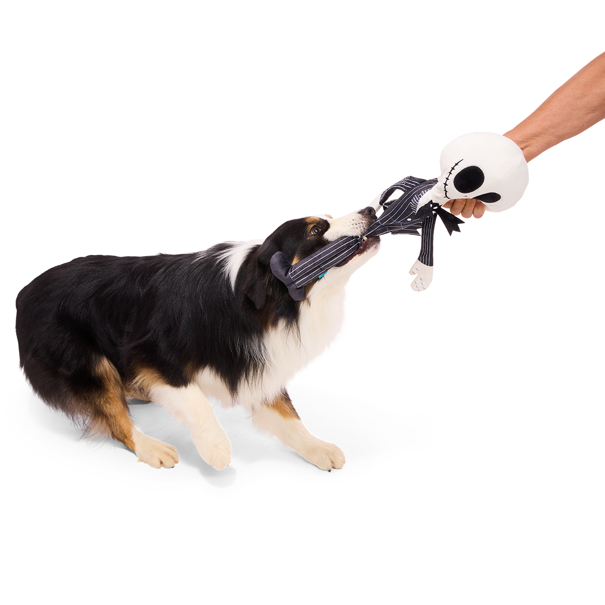 Giant Jack Skellington Plush Extra-Large + Tug Dog Toy