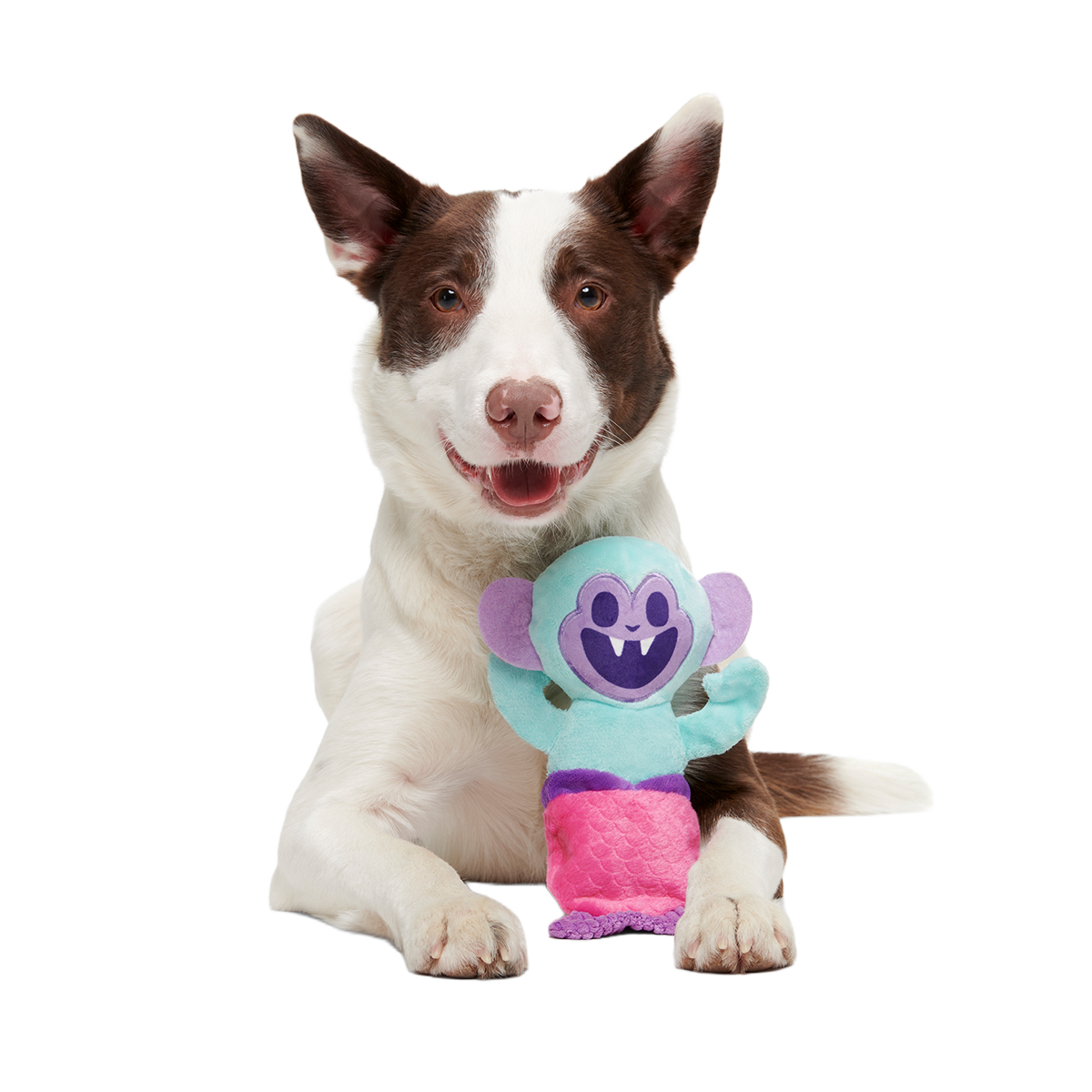 Gigi the Fiji Mermaid Multi-Part + Enrichment Dog Toy