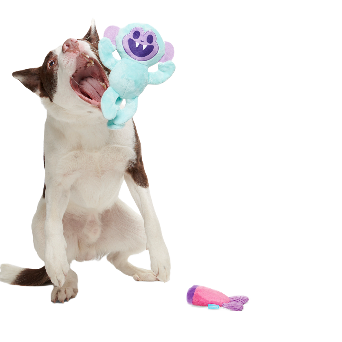 Gigi the Fiji Mermaid Multi-Part + Enrichment Dog Toy