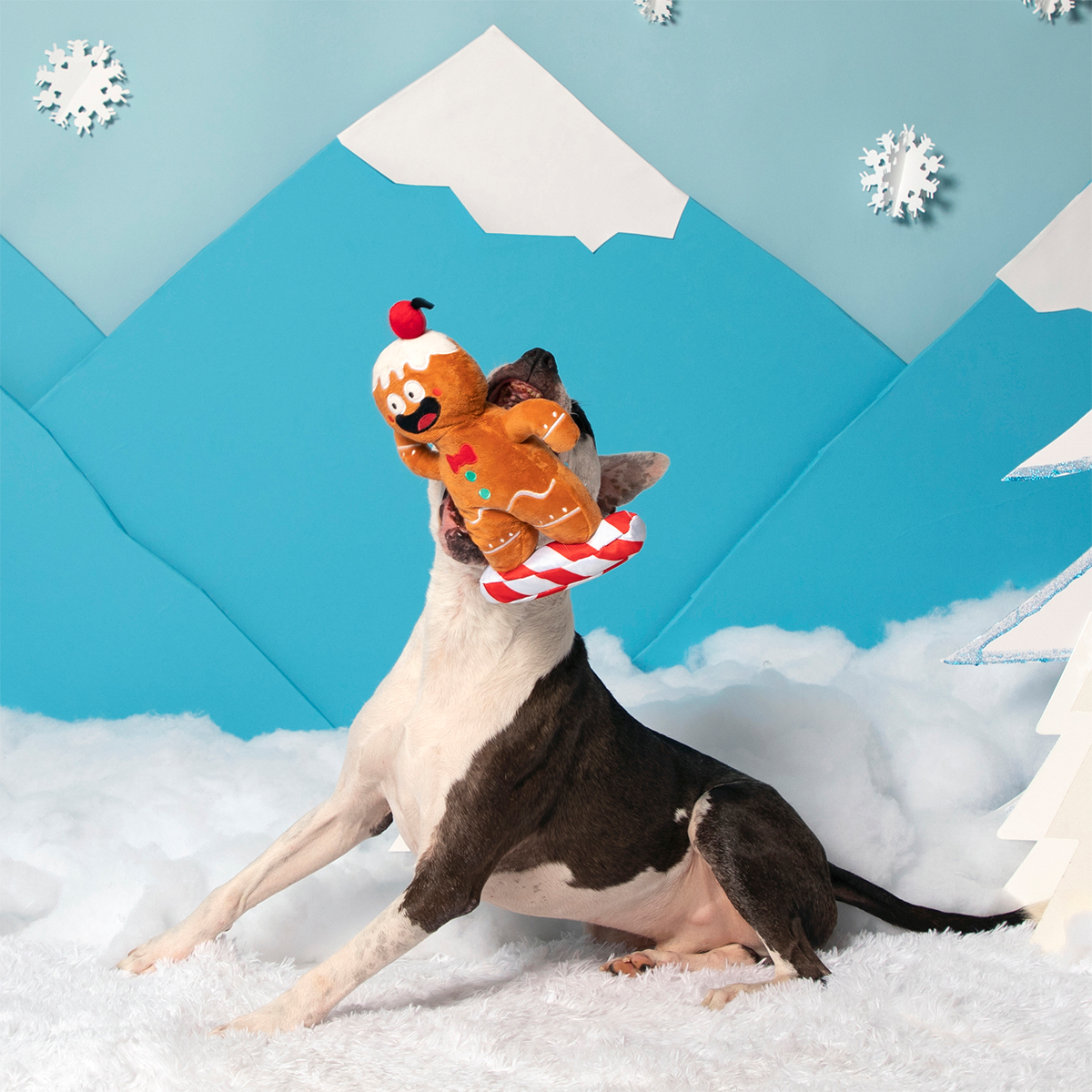 Gingershred Man Plush Tug Dog Toy
