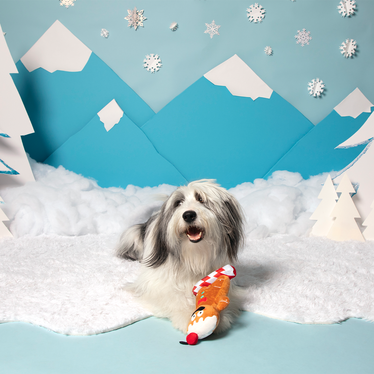 Gingershred Man Plush Tug Dog Toy